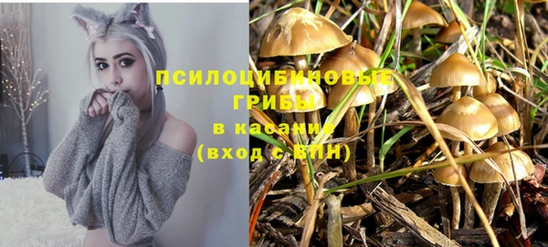 бошки Богданович