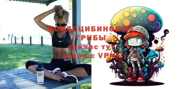 бошки Богданович